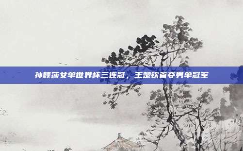 孙颖莎女单世界杯三连冠,王楚钦首夺男单冠军