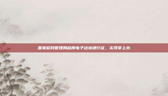 国家移民管理局启用电子边境通行证,实现掌上办