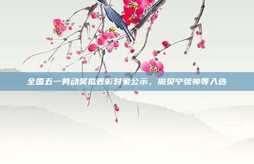 全国五一劳动奖拟表彰对象公示,撒贝宁张帅等入选