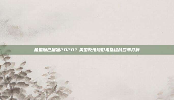哈里斯已瞄准2028?美国政坛隐形初选提前四年打响