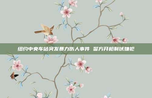 纽约中央车站突发暴力伤人事件 警方开枪制伏嫌犯
