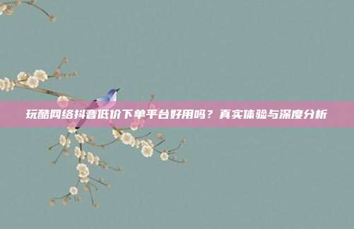 玩酷网络抖音低价下单平台好用吗?真实体验与深度分析