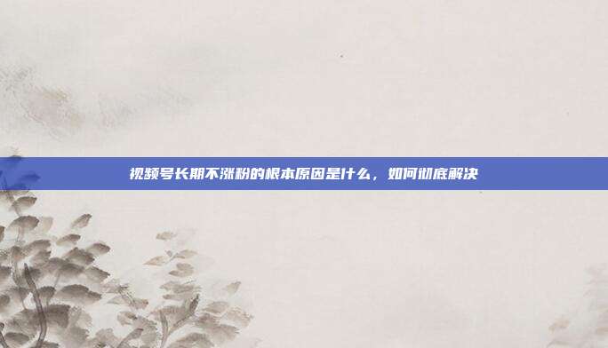 视频号长期不涨粉的根本原因是什么,如何彻底解决