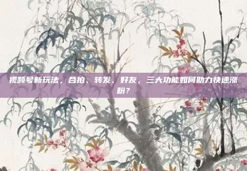 视频号新玩法,合拍、转发、好友,三大功能如何助力快速涨粉?
