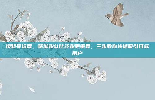 视频号运营,精准粉丝比泛粉更重要,三步教你快速吸引目标用户