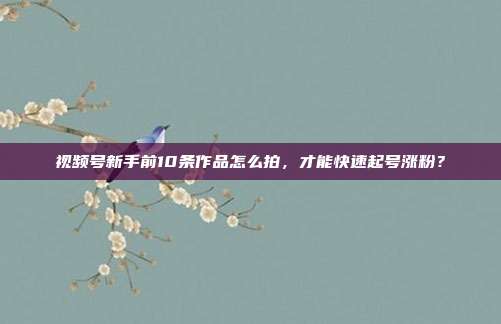 视频号新手前10条作品怎么拍,才能快速起号涨粉?