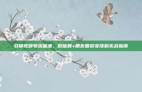 引爆视频号流量池,微信群+朋友圈裂变涨粉实战指南