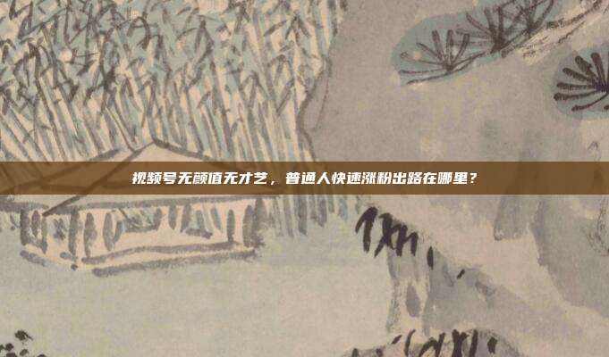 视频号无颜值无才艺,普通人快速涨粉出路在哪里?
