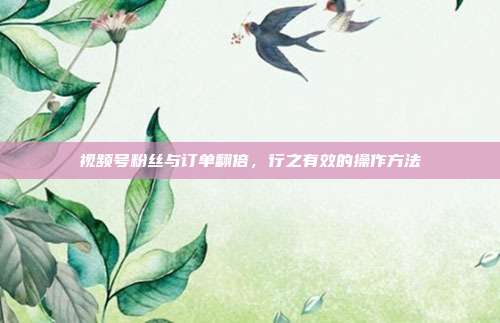 视频号粉丝与订单翻倍,行之有效的操作方法