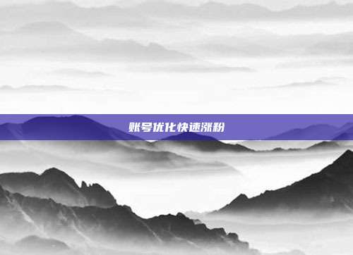 账号优化快速涨粉