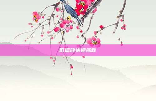 低播放快速拯救