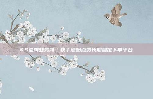 KS老牌业务网|快手涨粉点赞长期稳定下单平台