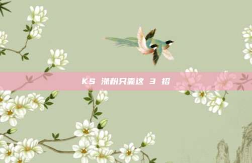 KS 涨粉只靠这 3 招