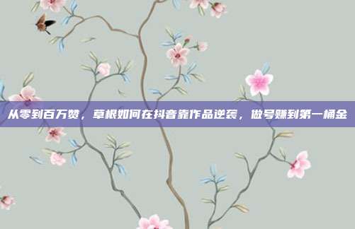 从零到百万赞，草根如何在抖音靠作品逆袭，做号赚到第一桶金