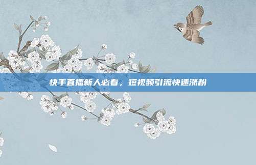 快手直播新人必看，短视频引流快速涨粉