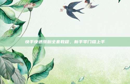 快手快速涨粉全套教程，新手零门槛上手