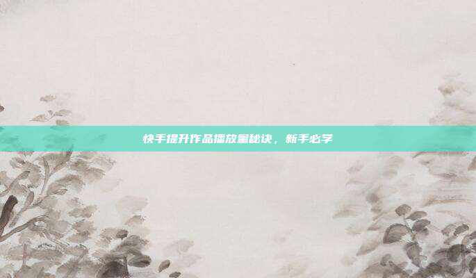 快手提升作品播放量秘诀，新手必学