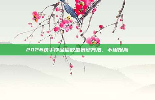 2026快手作品播放量暴涨方法，不用投流