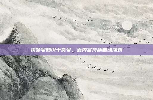视频号知识干货号，靠内容持续自动涨粉
