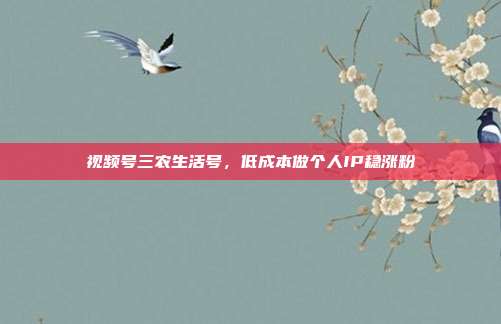 视频号三农生活号，低成本做个人IP稳涨粉