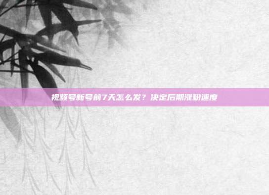 视频号新号前7天怎么发？决定后期涨粉速度