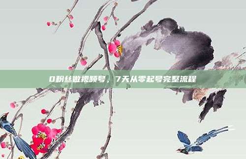 0粉丝做视频号，7天从零起号完整流程