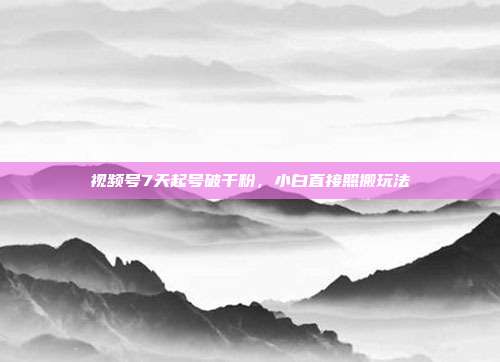 视频号7天起号破千粉，小白直接照搬玩法