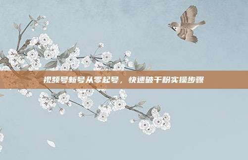 视频号新号从零起号，快速破千粉实操步骤