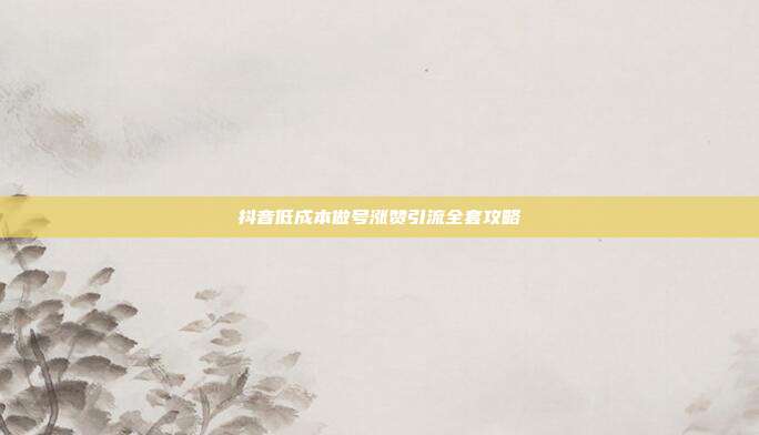 抖音低成本做号涨赞引流全套攻略