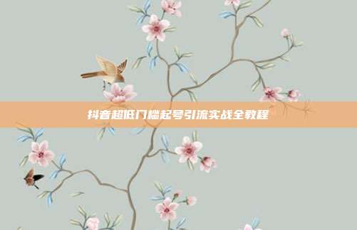 抖音超低门槛起号引流实战全教程