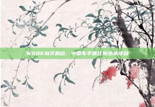 WSBK匈牙利站：中国车手德比斯绝杀夺冠