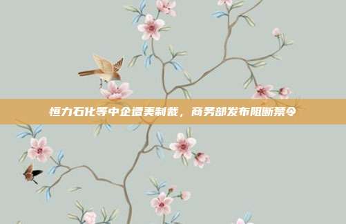 恒力石化等中企遭美制裁，商务部发布阻断禁令