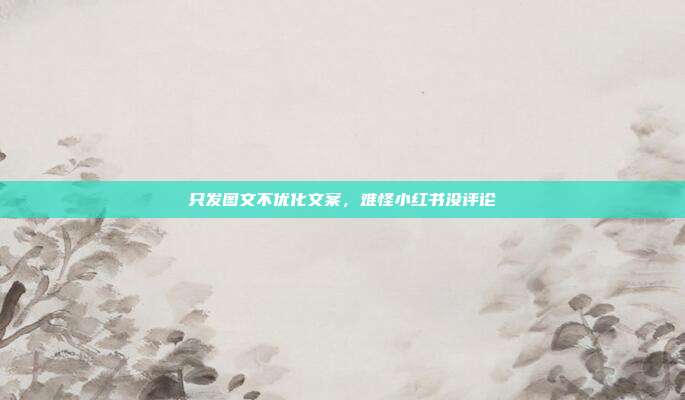 只发图文不优化文案,难怪小红书没评论