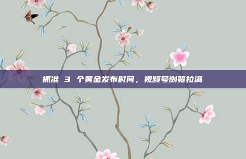 抓准 3 个黄金发布时间，视频号浏览拉满