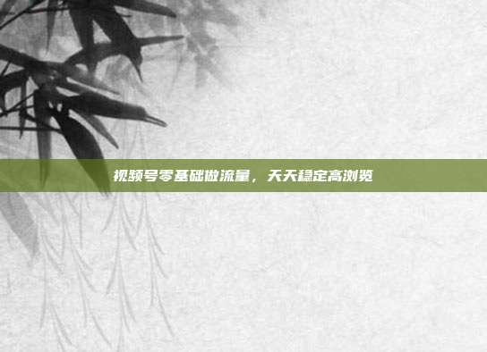 视频号零基础做流量，天天稳定高浏览