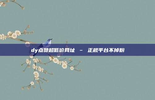 dy点赞超低价网址 – 正规平台不掉粉