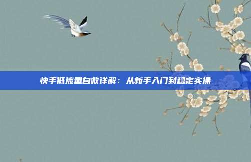 快手低流量自救详解：从新手入门到稳定实操