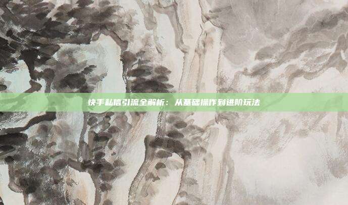快手私信引流全解析：从基础操作到进阶玩法