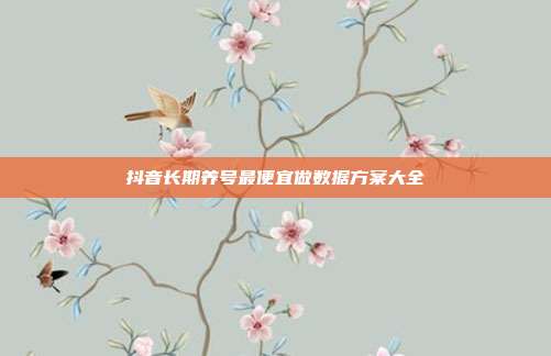 抖音长期养号最便宜做数据方案大全