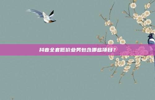 抖音全套低价业务包含哪些项目？