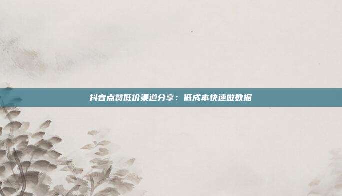 抖音点赞低价渠道分享：低成本快速做数据