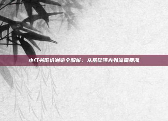 小红书低价浏览全解析:从基础曝光到流量暴涨