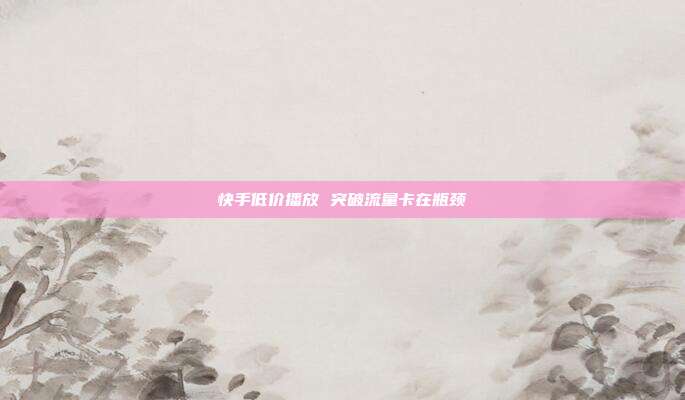 快手低价播放 突破流量卡在瓶颈
