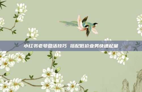 小红书老号盘活技巧 搭配低价业务快速起量