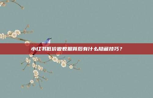 小红书低价做数据背后有什么隐藏技巧?