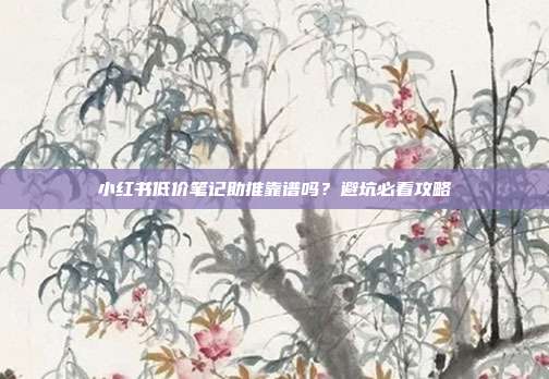小红书低价笔记助推靠谱吗？避坑必看攻略