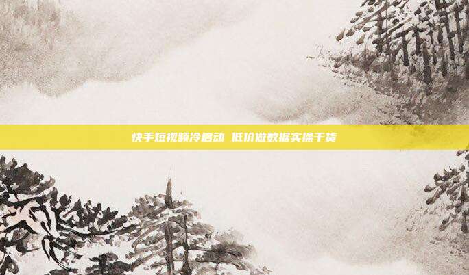 快手短视频冷启动 低价做数据实操干货
