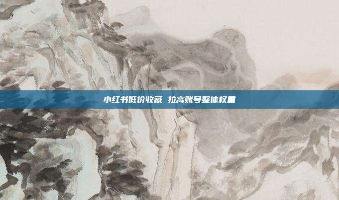 小红书低价收藏 拉高账号整体权重