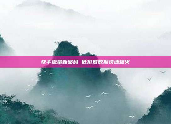 快手流量新密码 低价做数据快速爆火