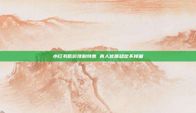 小红书低价涨粉特惠 真人优质稳定不掉量